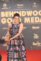 Behindwoods Gold Medals 2017 - The Red Carpet Set 2