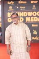 Behindwoods Gold Medals 2017 - The Red Carpet Set 3