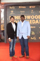 Behindwoods Gold Medals 2017 - The Red Carpet Set 3