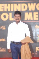 Behindwoods Gold Medals 2017 - The Red Carpet Set 3