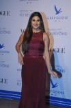 Bollywood Celebs at Grey Goose Fly Beyond Awards 2014