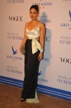 Bollywood Celebs at Grey Goose Fly Beyond Awards 2014