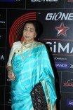 Celebs At Global Indian Music Awards 2014