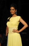 Lakme Fashion Week 2014