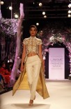 Lakme Fashion Week 2014