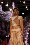 Lakme Fashion Week 2014