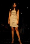 Lakme Fashion Week 2014