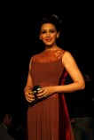 Lakme Fashion Week 2014
