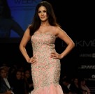 Lakme Fashion Week Summer Resort 2014