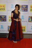 Zee Cine Awards 2014