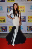 Zee Cine Awards 2014