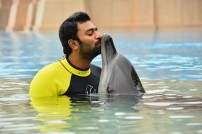 Shanthanu Bhagyaraj (aka) Shanthanu