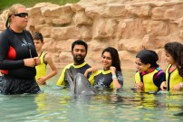 Shanthanu Bhagyaraj (aka) Shanthanu