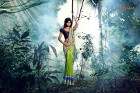 Shaun Romy (aka) Shaun Romy