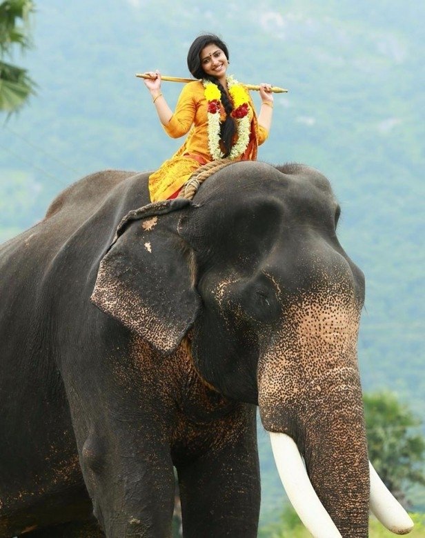 Aana Alaralodalaral (aka) Aana Alaralodalaral Movie