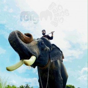 Aana Alaralodalaral (aka) Aana Alaralodalaral Movie