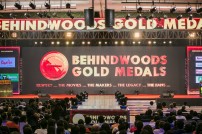 Behindwoods Gold Medals 2017 - The Awarding Set 3