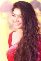 Behindwoods Gold Medals 2017 - The Red Carpet Set 2