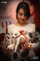 Behindwoods Woman Achiever 2015 Trisha Krishnan