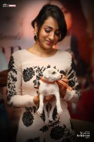 Behindwoods Woman Achiever 2015 Trisha Krishnan