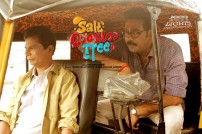 Salt Mango Tree (aka) Salt Maango Tree