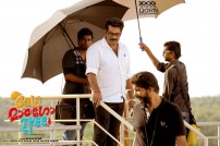 Salt Mango Tree (aka) Salt Maango Tree