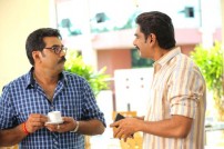 Salt Mango Tree (aka) Salt Maango Tree