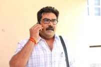 Salt Mango Tree (aka) Salt Maango Tree