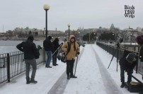 Valiya Chirakulla Pakshikal (aka) Birds With Large Wings