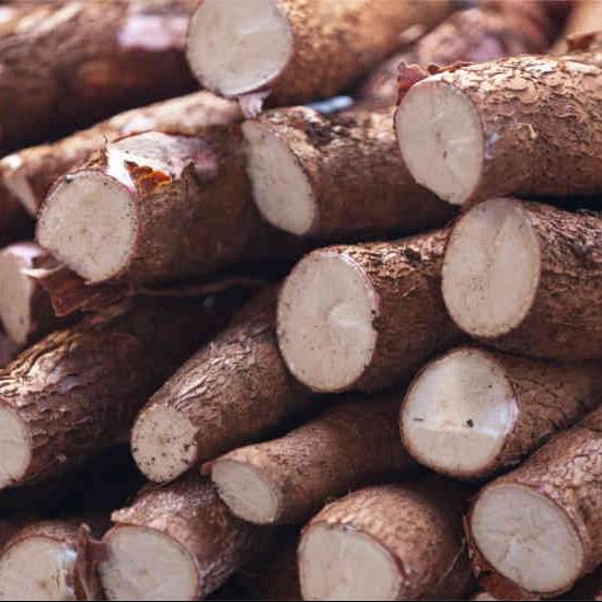 Cassava