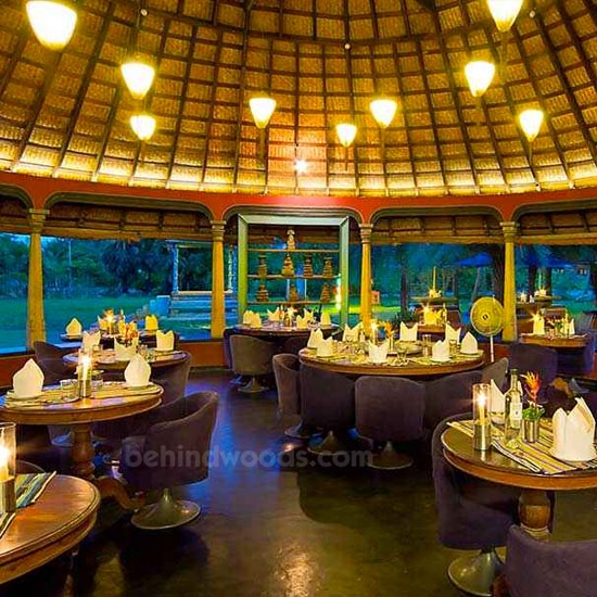 The Fun - Dune Eco Village & Spa