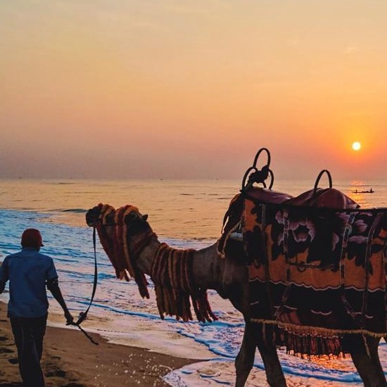 Puri Beach: Puri, Odisha