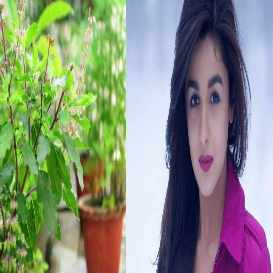 Neem and tulsi leaves - Alia Bhatt
