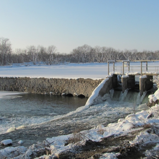  International Falls, Minn