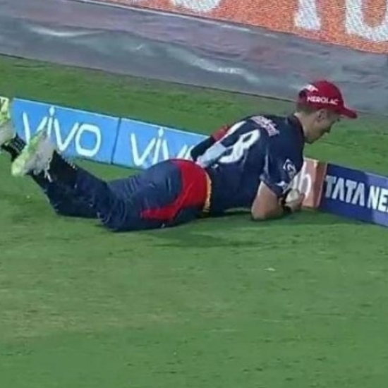 விவோ பெர்பெக்ட் கேட்ச் - சீசன் 