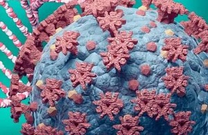 டெல்டாவையே ஓரம் கட்டிய ஓமிக்ரான், வார்னிங் தந்த வல்லுநர்கள், தெரிந்து கொள்ள வேண்டிய 10 விஷயம்