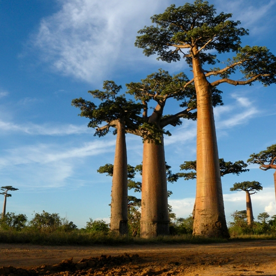 Madagascar - visa on arrival