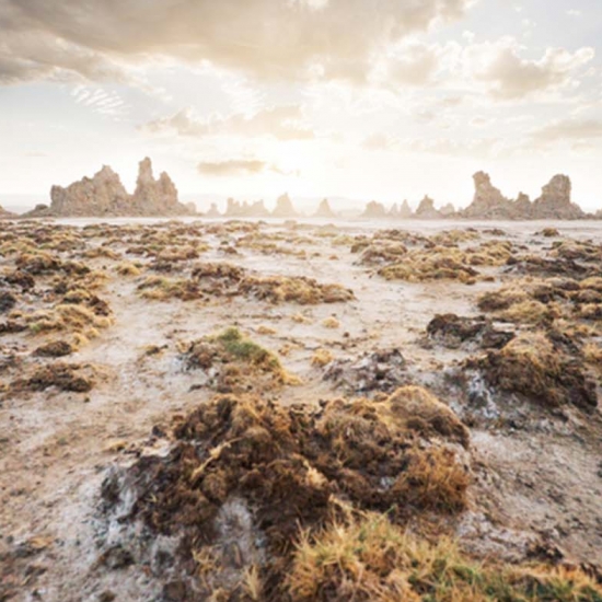 Djibouti - Visa on arrival