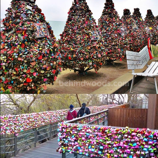 N Seoul tower, Seoul, South Korea 