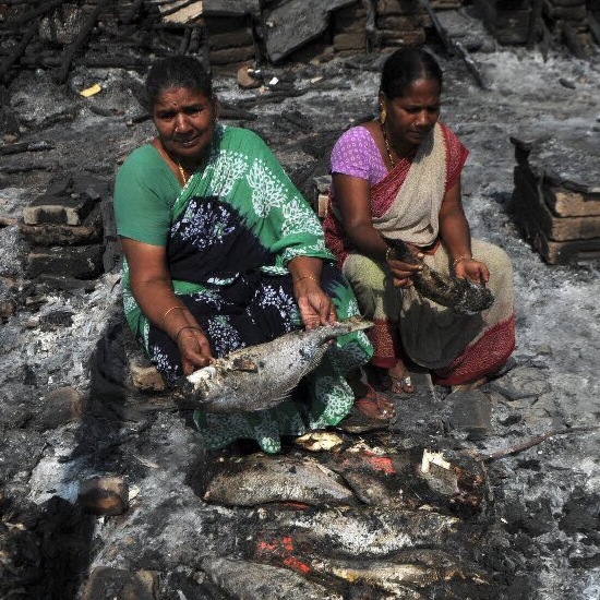 Nadukuppam fish market set on fire