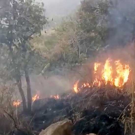 Theni forest fire - 2018