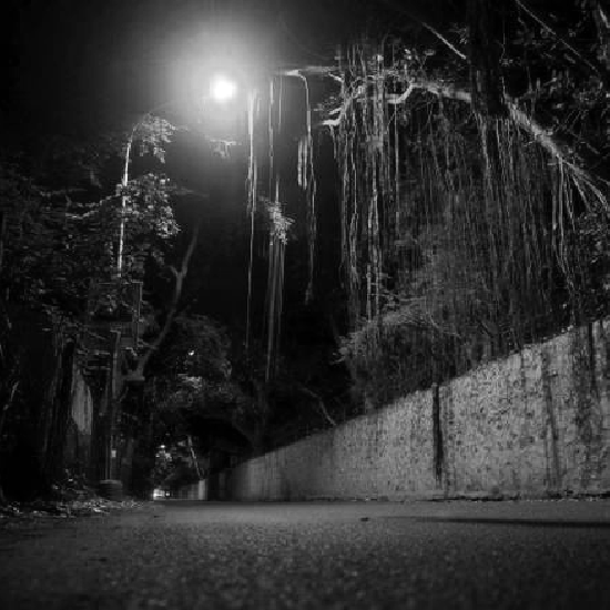 Blue Cross Road, Adyar