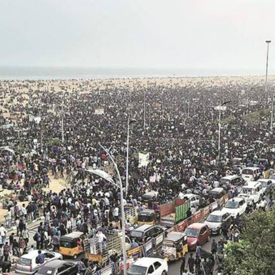 Jallikattu Movement 2017