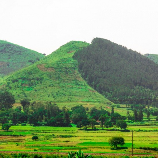 Araku Valley, Andhra Pradesh 