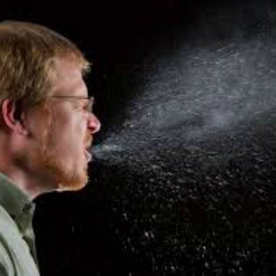 HIV is not transmitted by everyday contact