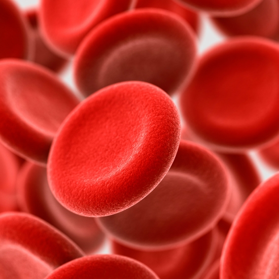 It is transmitted by some types of bodily fluids