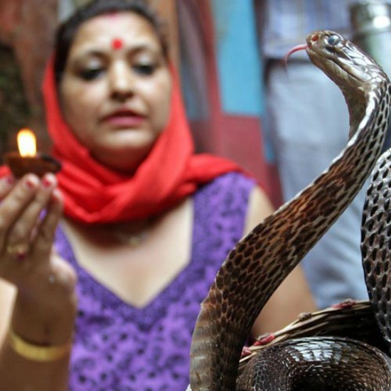 We question technology but believe in our superstitions.