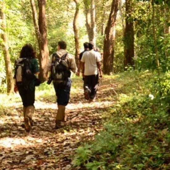 Jungle Patrolling in Periyar Tiger Reserve, Kerala 
