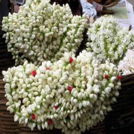 90-களின் குழந்தைகள் உண்மை என்றே நம்பிய 15 வதந்திகள் - #90sKidsRumours!