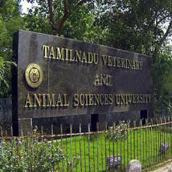 Tamil Nadu Veterinary & Animal Sciences University, Chennai > Rank - 92